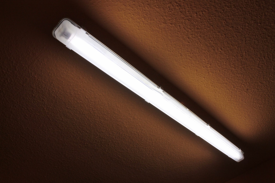 Light neon office lighting