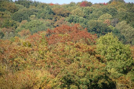 Nature autumn landscape photo