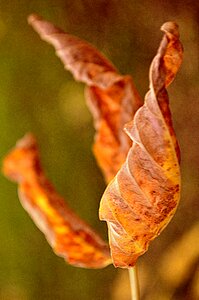 Nature colorful warm