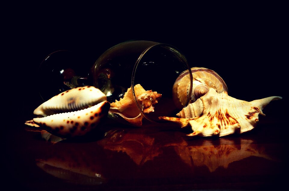 Collection mother of pearl sea