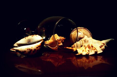 Collection mother of pearl sea