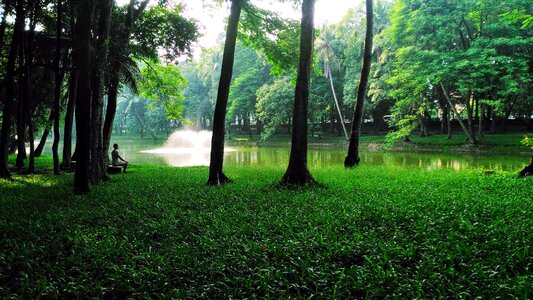 Landscape green shadows photo