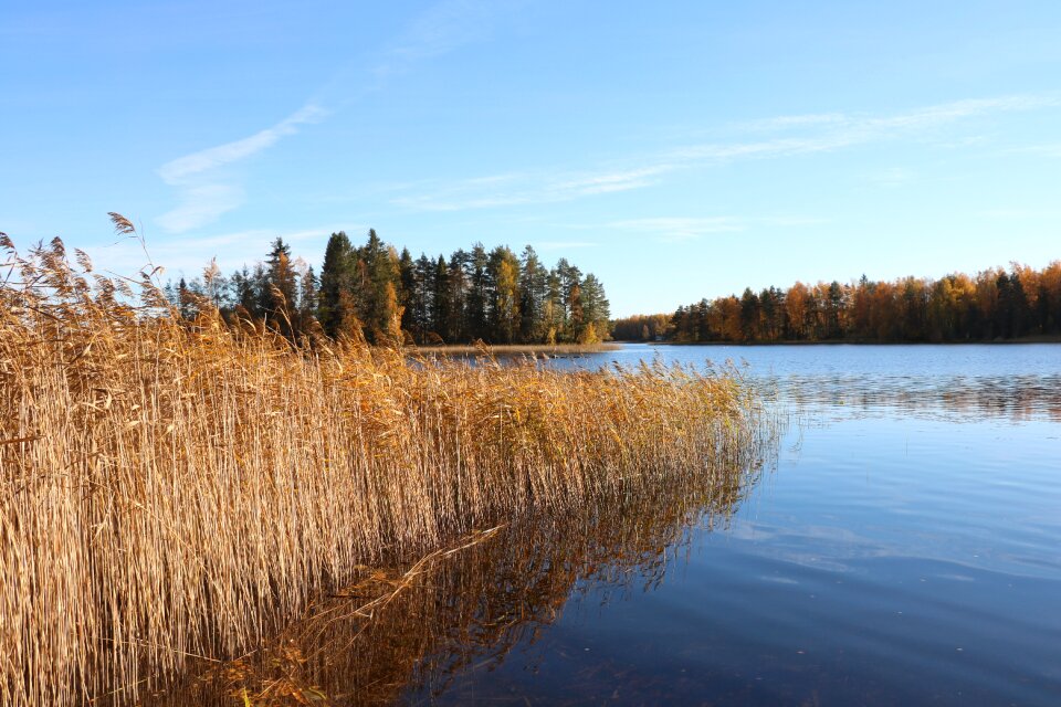 Nature landscape water photo