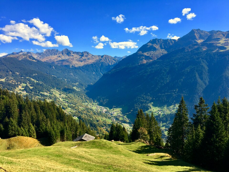 Montafon alp graze