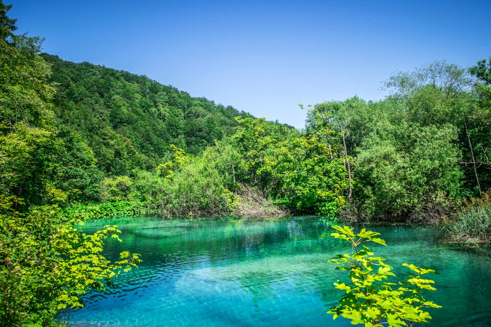 Landscape green flowing