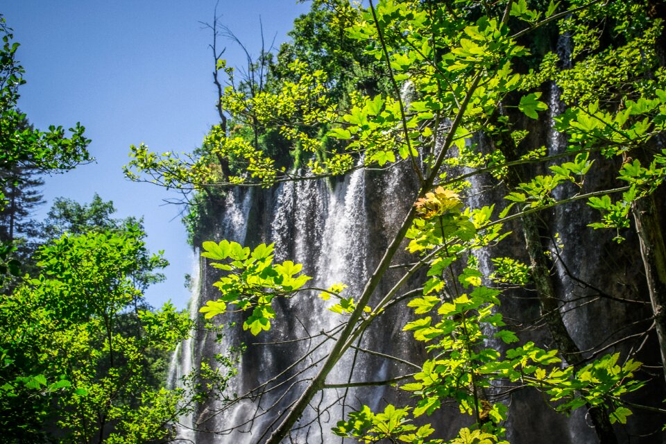 Landscape green flowing