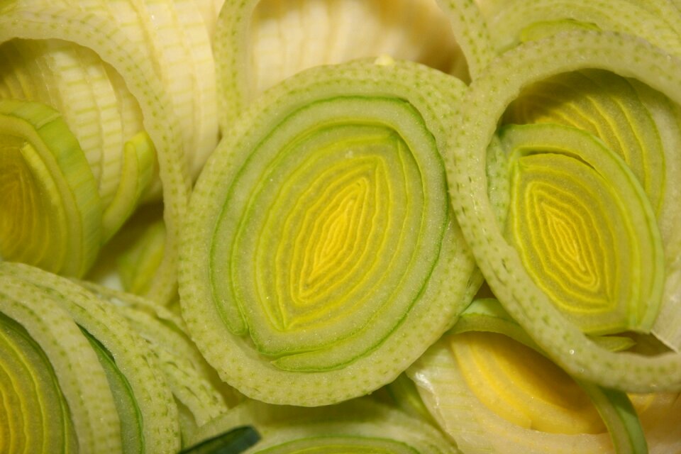 Winter leek welsch onion wicked leeks