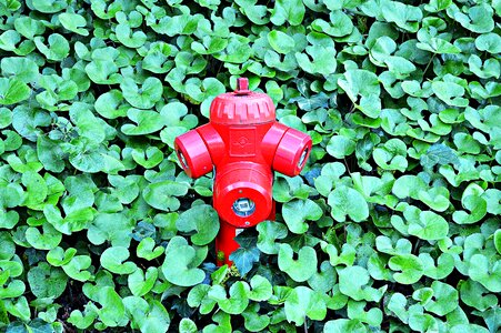 Fire fighting water supply water abstraction red