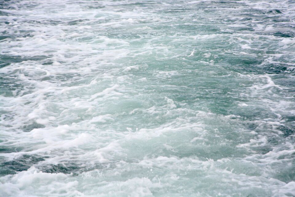 Scum nature ocean