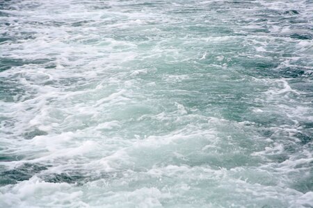 Scum nature ocean