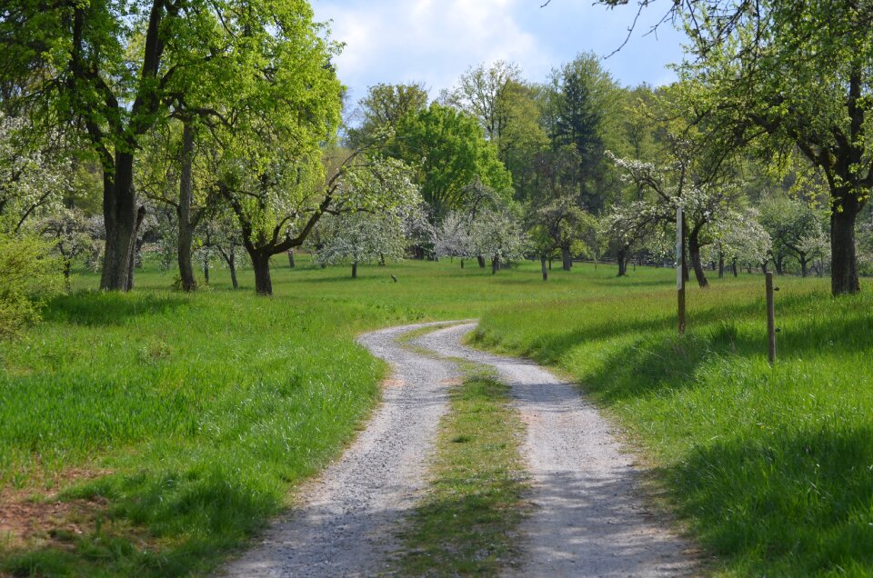 Walk nature landscape