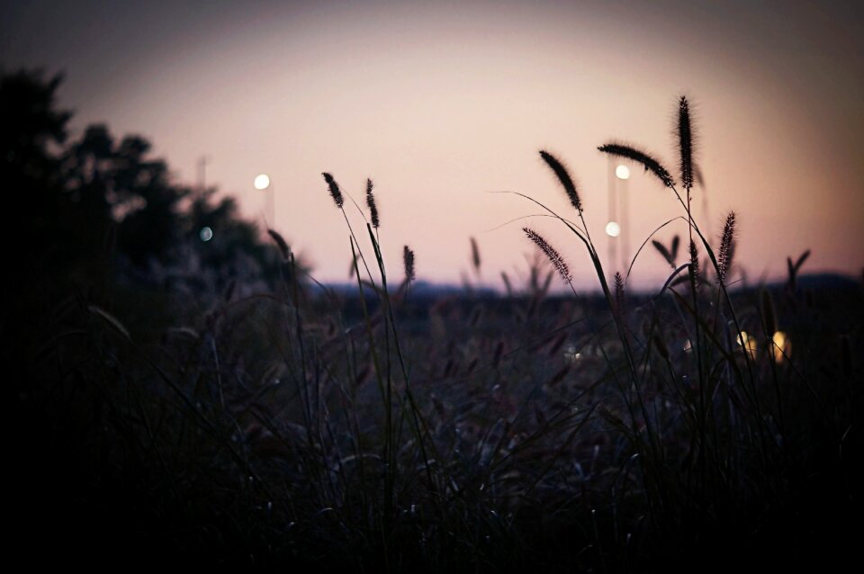 Sunset glow landscape
