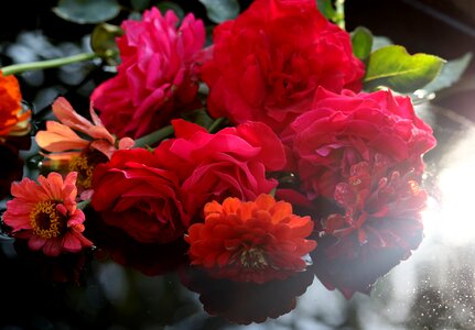Red water romance