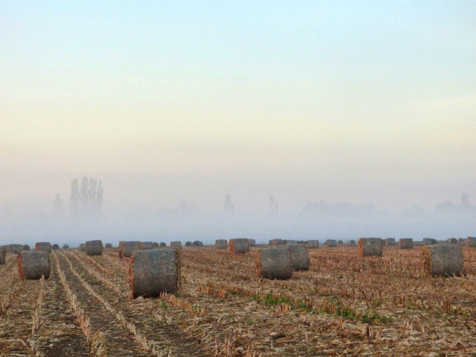 Fog landscape nature