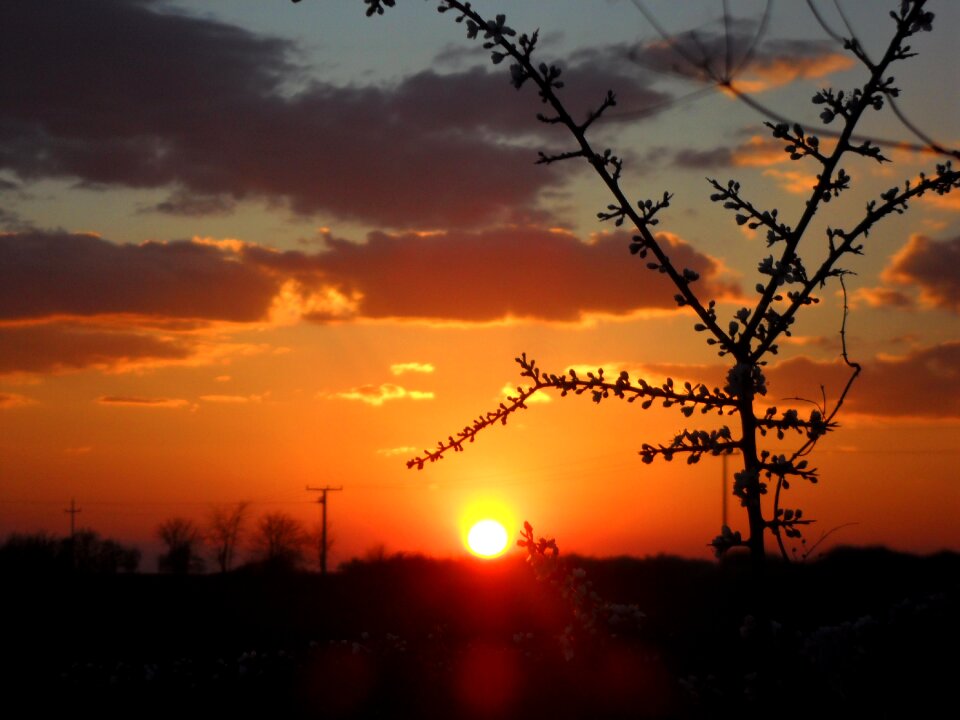 Rest nature color