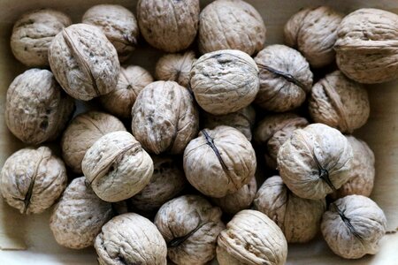 Nuts eat nature