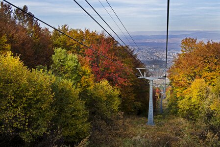 Autumn colorful vibrant photo