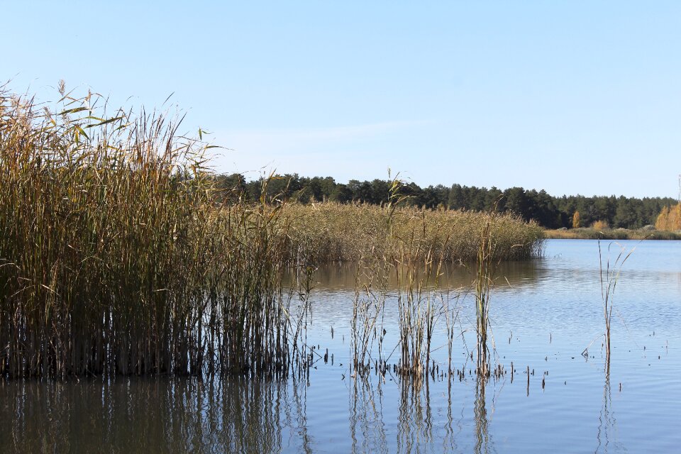 Water landscape nature