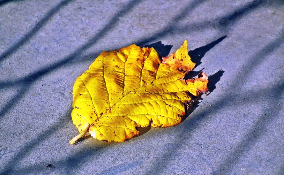 Nature gold the structure of the