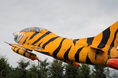 Fighter aviation military