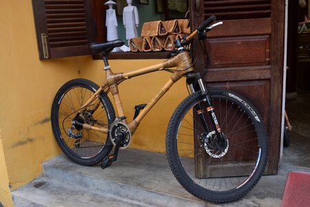 Bike sport bamboo frame photo