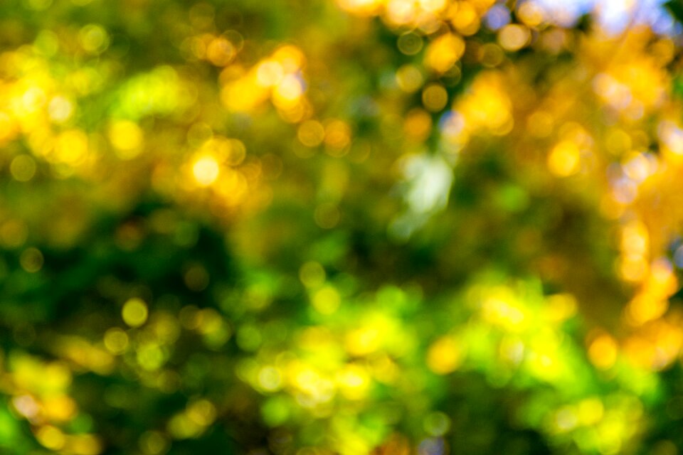 Light glow colorful