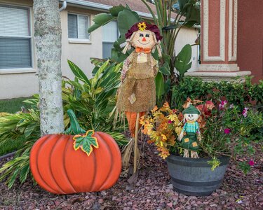 Scarecrow autumn colorful