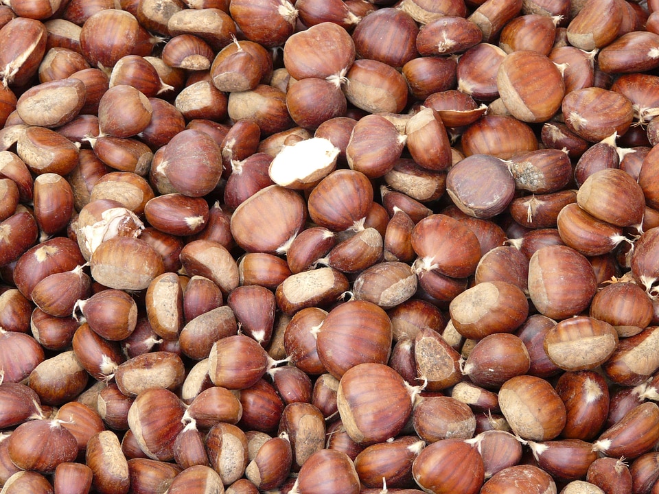 Nut fruit nuts market