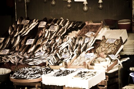 Bazaar seafood fish photo