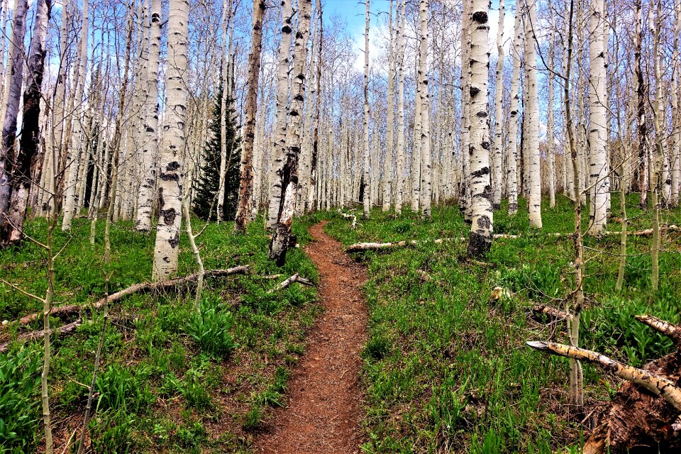 High altitude hike mountain trail
