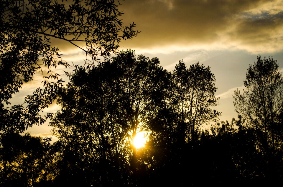 The silhouette sunset in the evening
