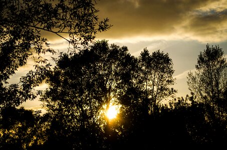 The silhouette sunset in the evening photo