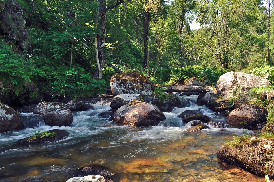 Summer landscape nature photo