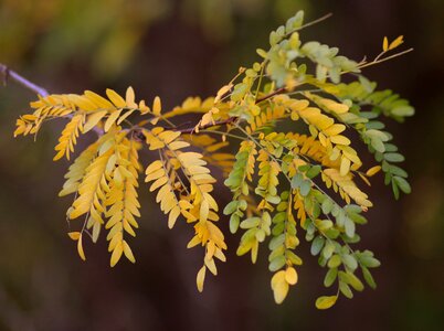 Autumn casey nice