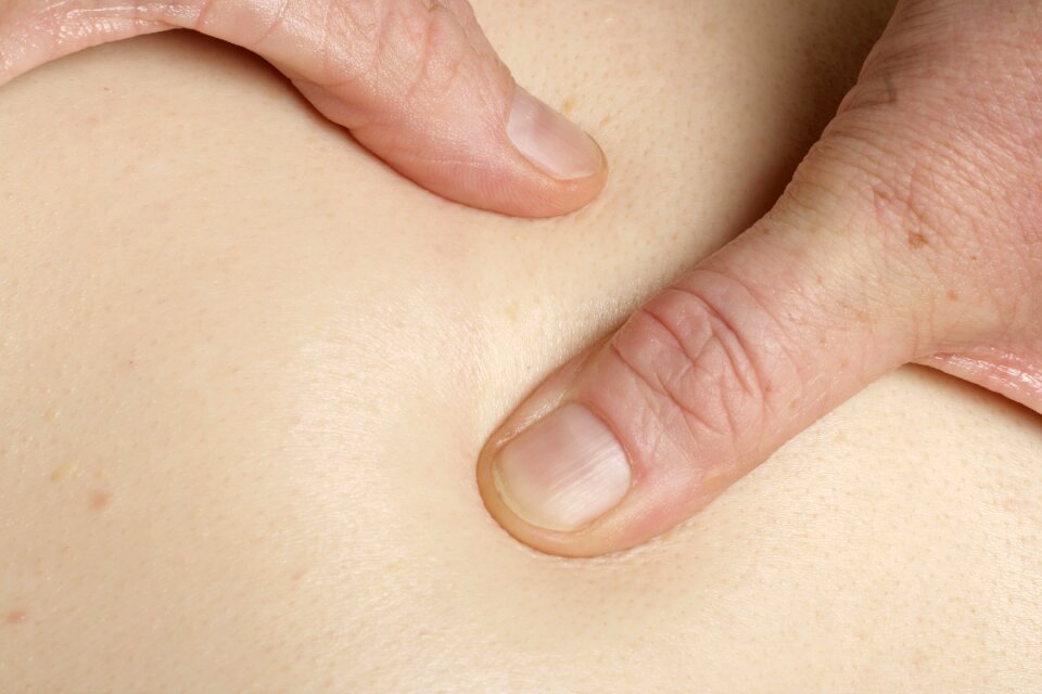 Hand thumb parts of the body