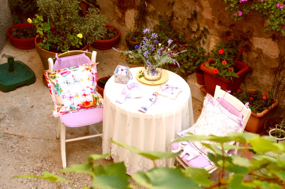 Plant flower garden