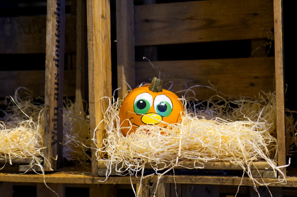 Decoration harvest vegetables