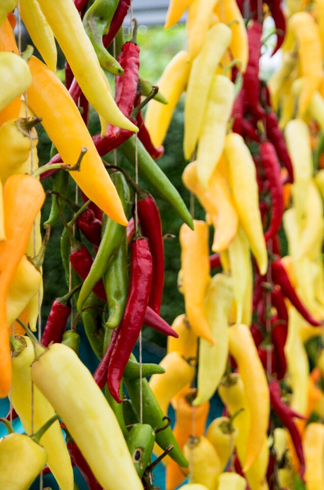 Yellow cooking spicy