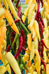 Yellow cooking spicy