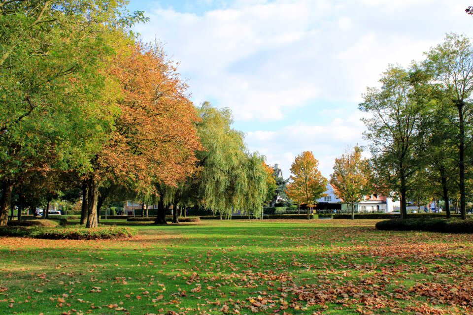Outdoors trees fall colors
