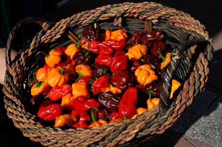 Cooking spicy food photo