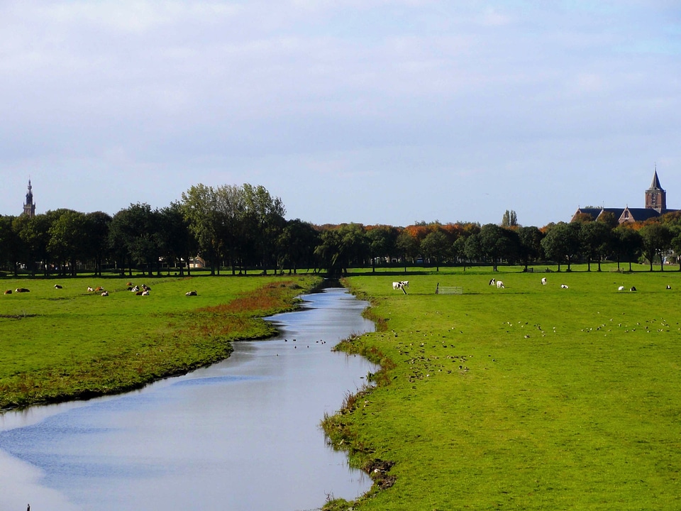 Water fields grass