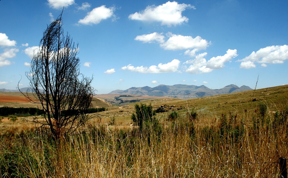 Veld mountain sky