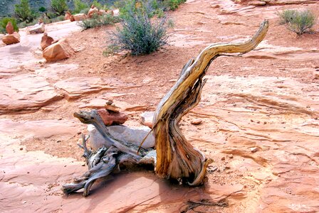 National park utah photo