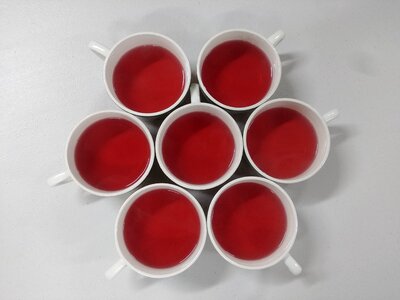 Teacup cup aromatic photo