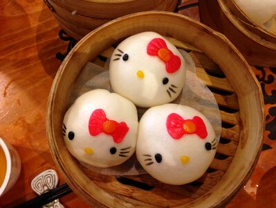 Asian foods dumpling steamed