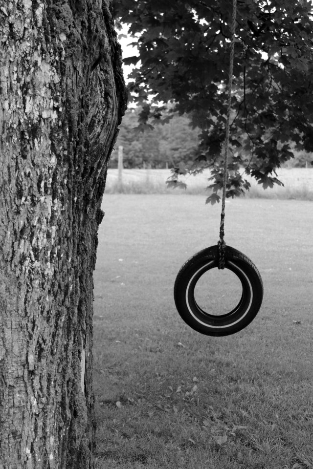 Tree pasture childhood