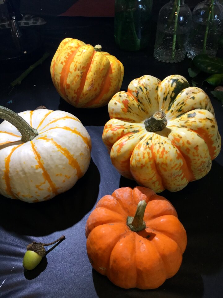 Thanksgiving harvest food