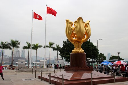 Hong kong redbud square photo
