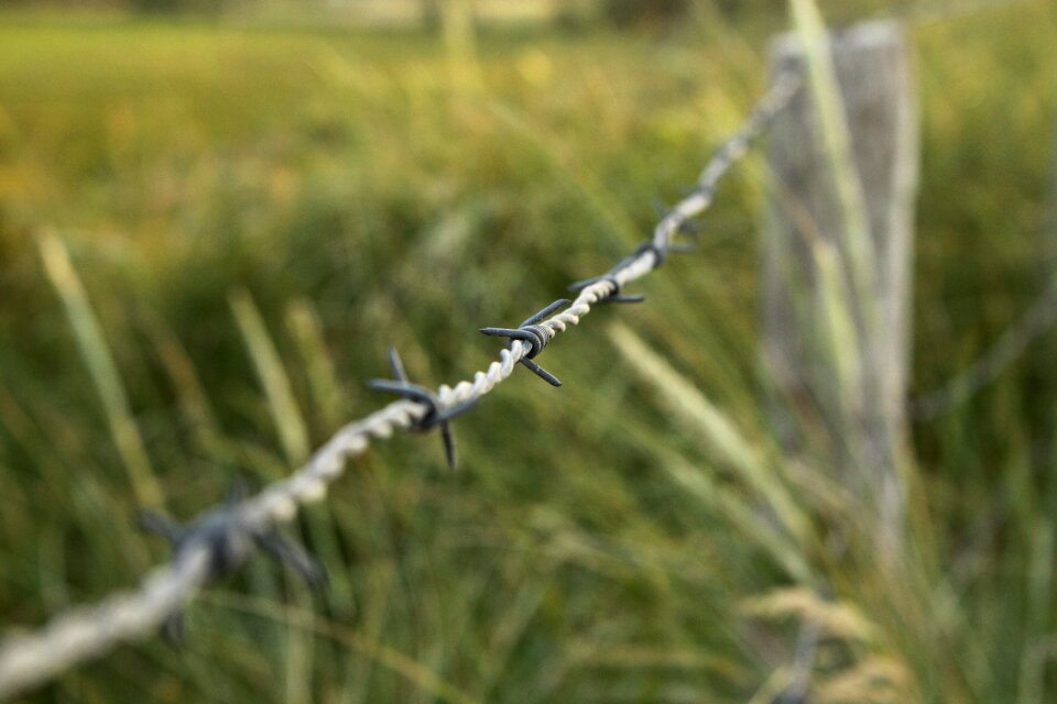 Dune border demarcation